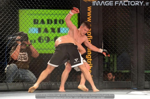 2013-05-04 Milano in the cage 2013 - Mixed Martial Arts 1444 Adrian Sebanowsky-Eugeniu Borsci